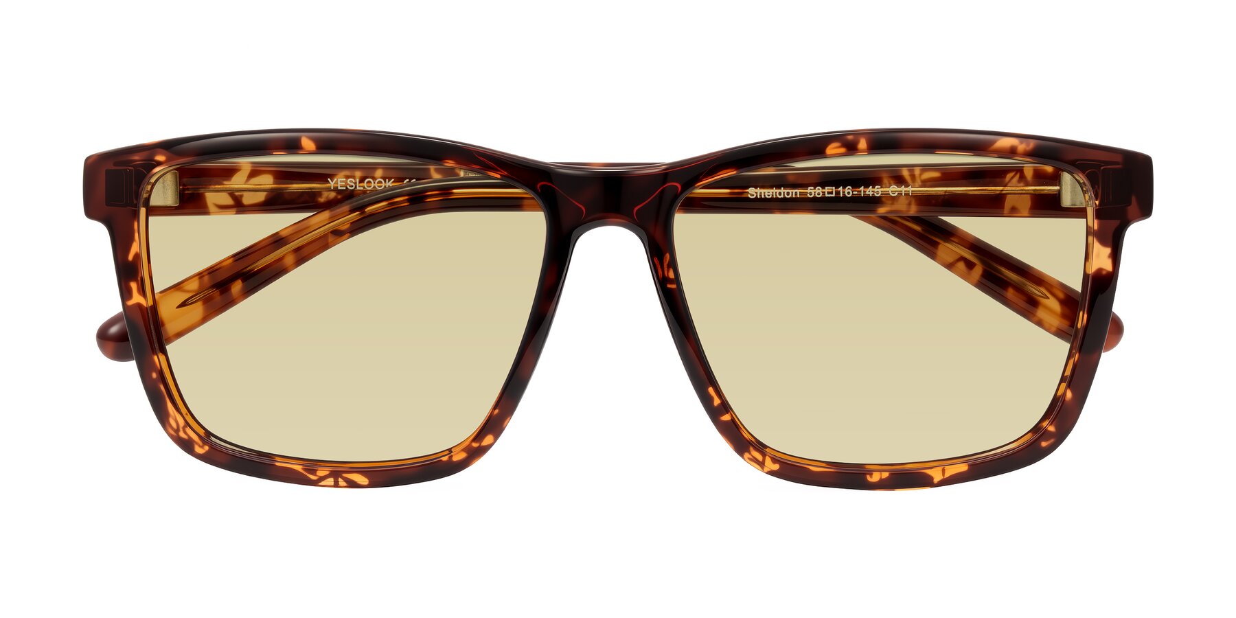 Folded Front of Sheldon in Tortoise with Light Champagne Tinted Lenses