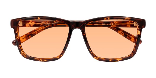Front of Sheldon in Tortoise
