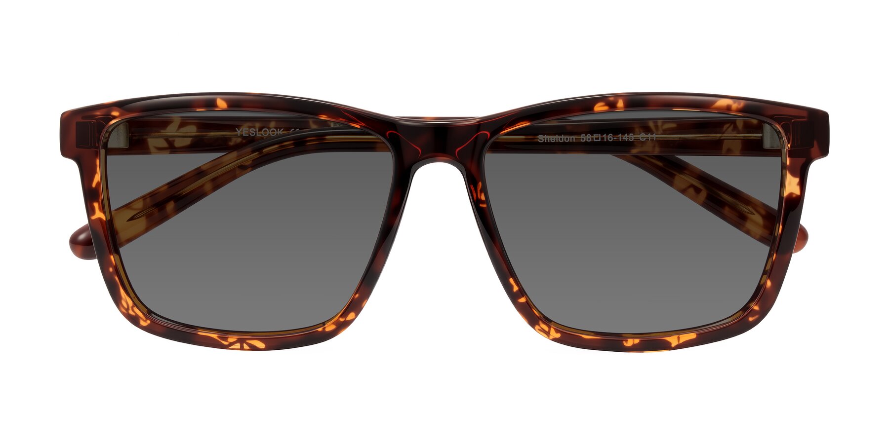 Folded Front of Sheldon in Tortoise with Medium Gray Tinted Lenses