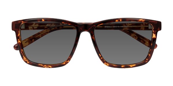 Front of Sheldon in Tortoise