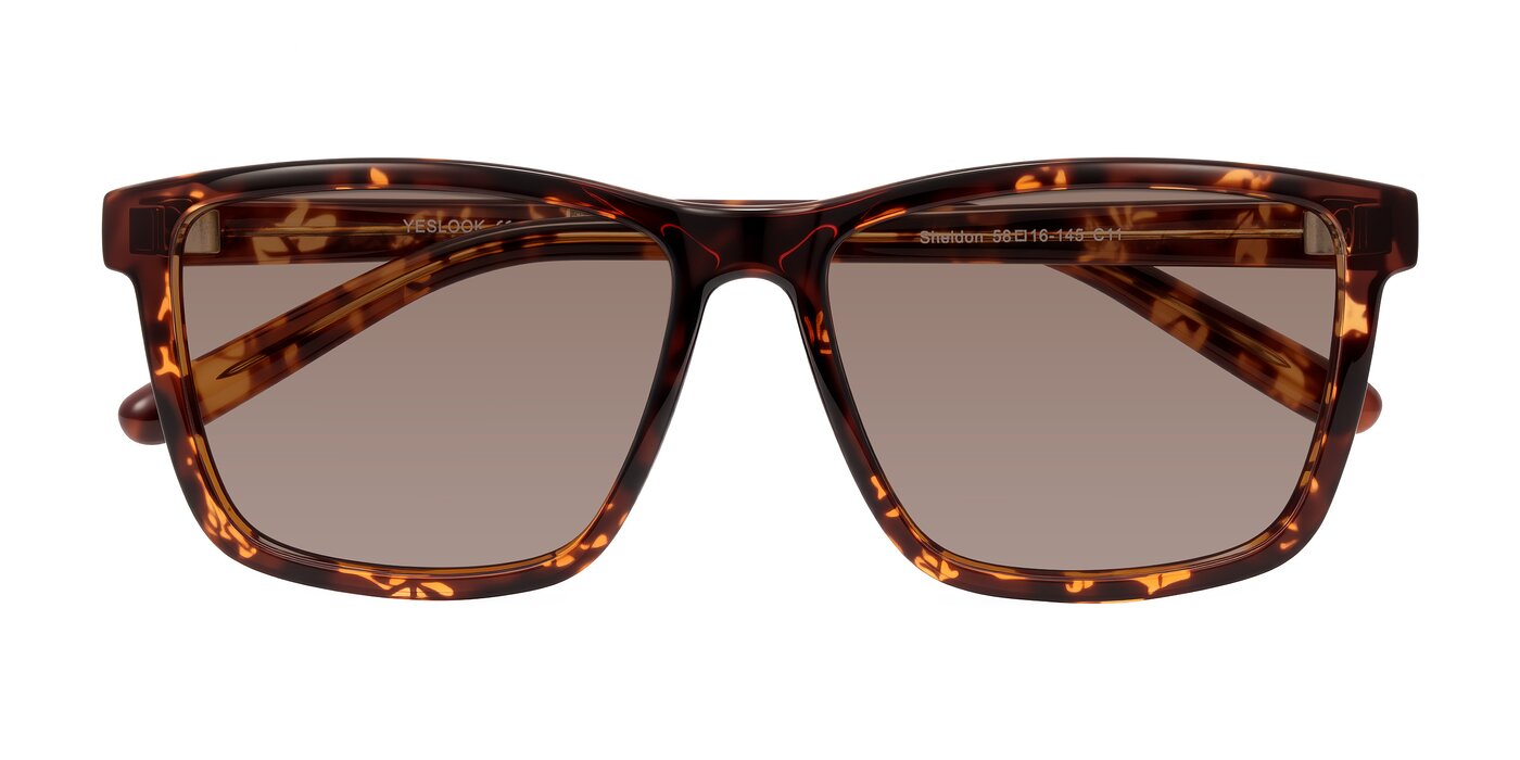 Sheldon - Tortoise Brown Tinted Sunglasses