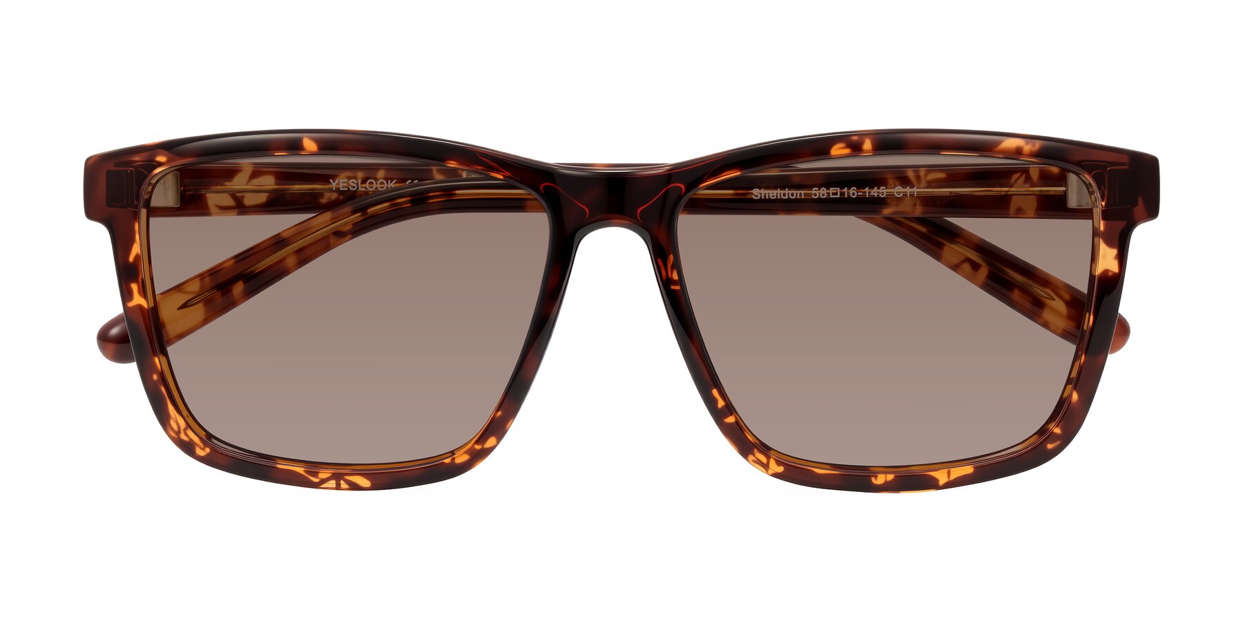 Folded Front of Sheldon in Tortoise with Medium Brown Tinted Lenses