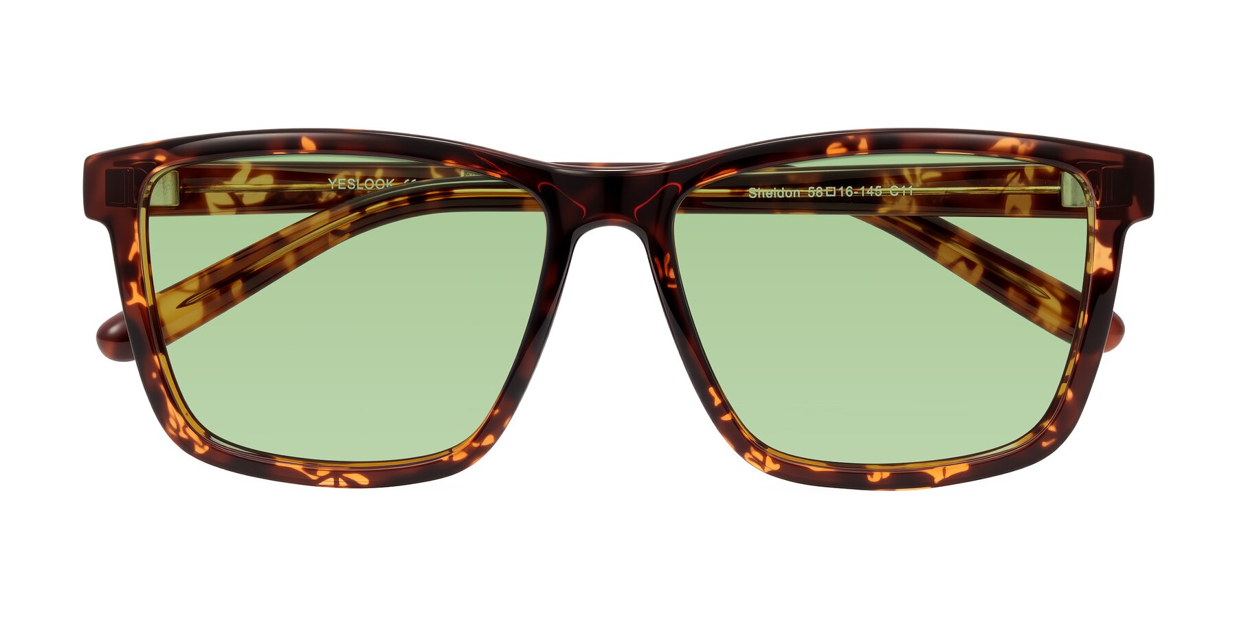 Folded Front of Sheldon in Tortoise with Medium Green Tinted Lenses