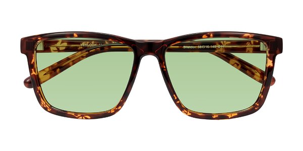 Front of Sheldon in Tortoise