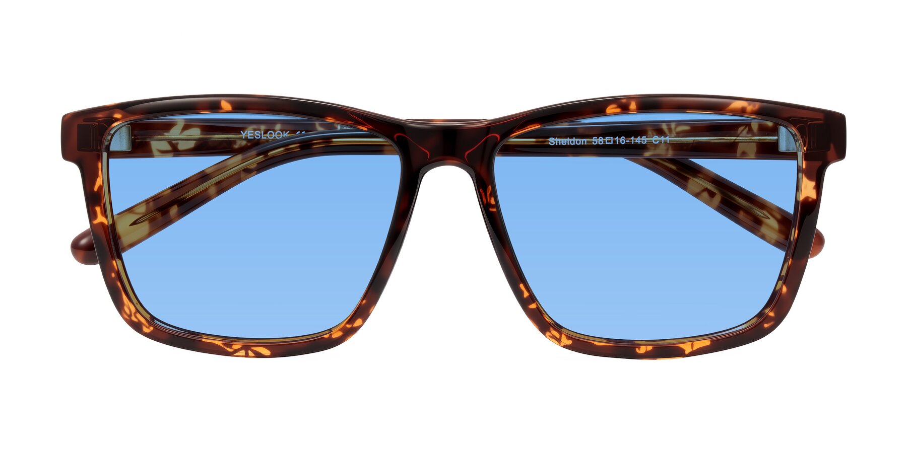 Folded Front of Sheldon in Tortoise with Medium Blue Tinted Lenses