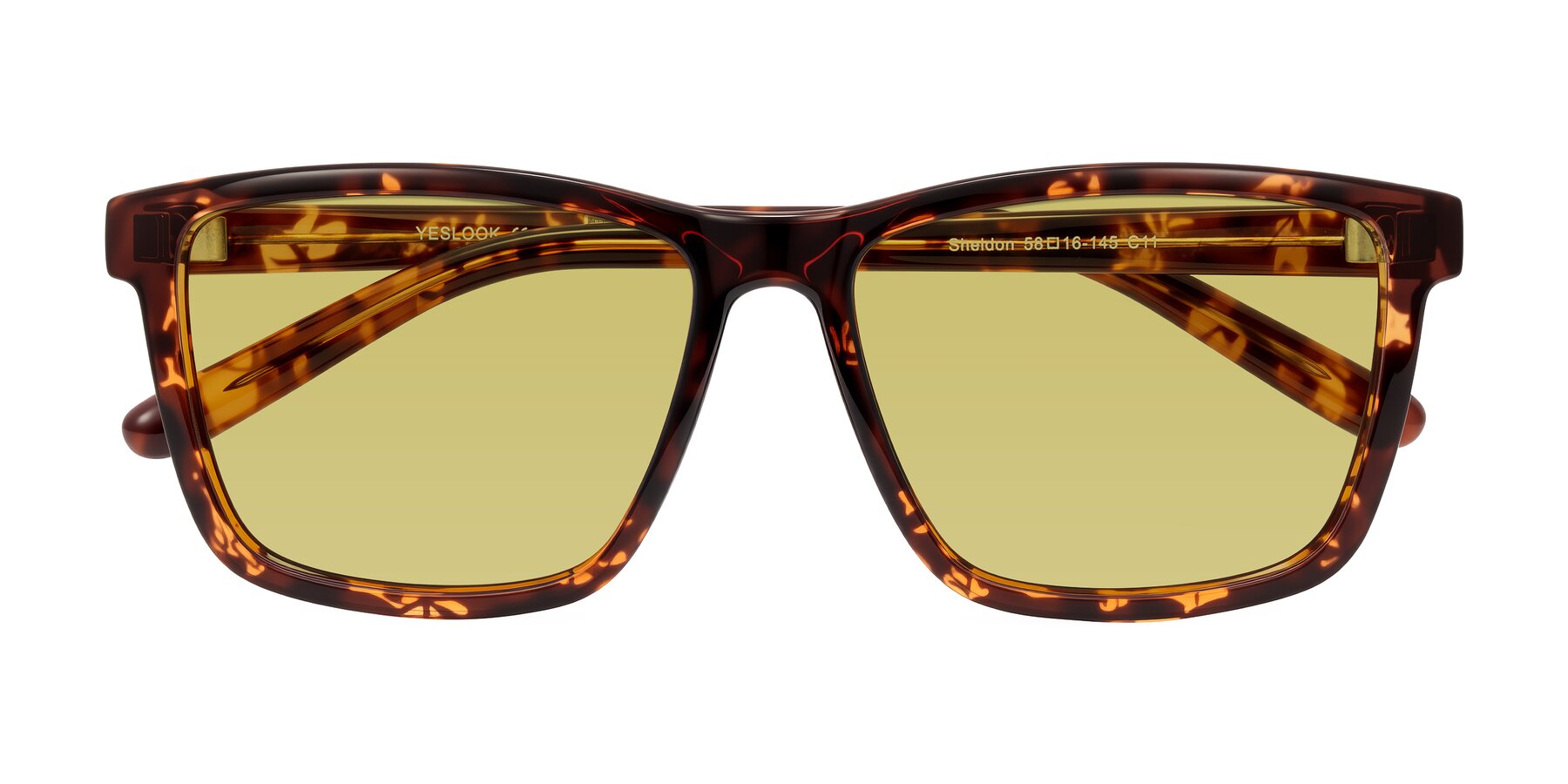 Folded Front of Sheldon in Tortoise with Medium Champagne Tinted Lenses