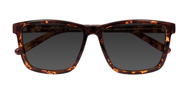 Front of Sheldon in Tortoise