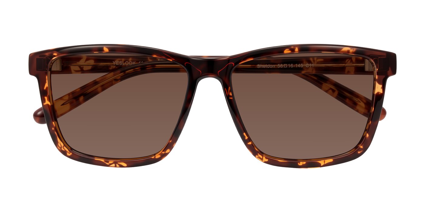 Sheldon - Tortoise Tinted Sunglasses