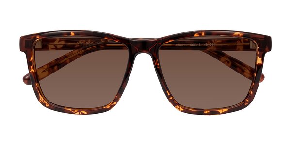Front of Sheldon in Tortoise