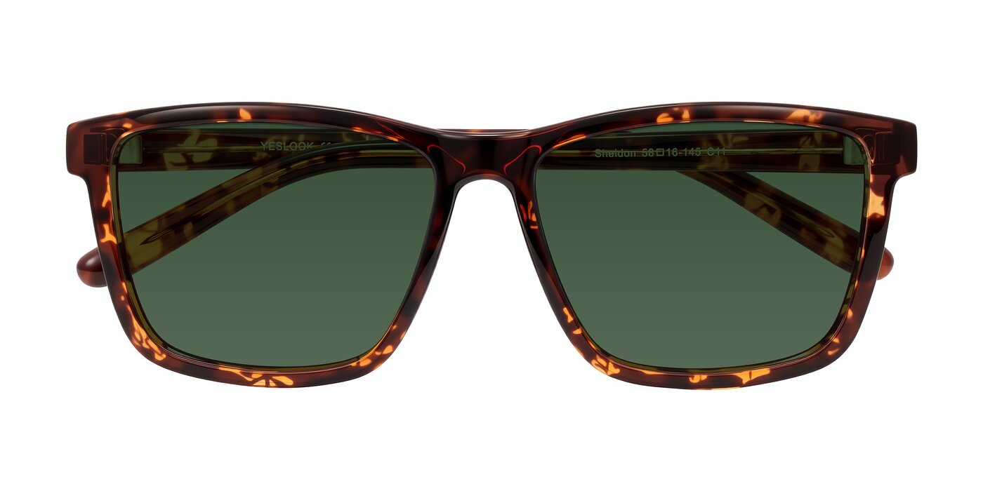 Sheldon - Tortoise Brown Tinted Sunglasses
