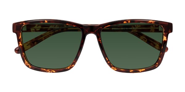Front of Sheldon in Tortoise