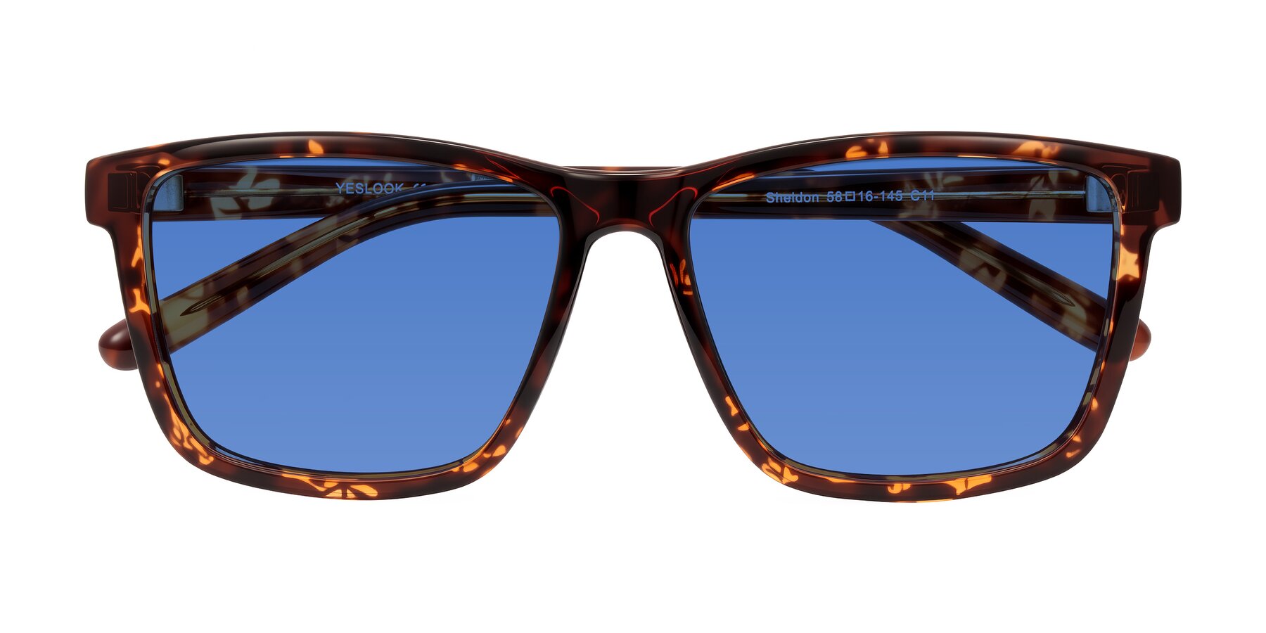 Folded Front of Sheldon in Tortoise with Blue Tinted Lenses