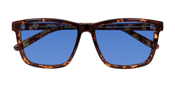 Front of Sheldon in Tortoise