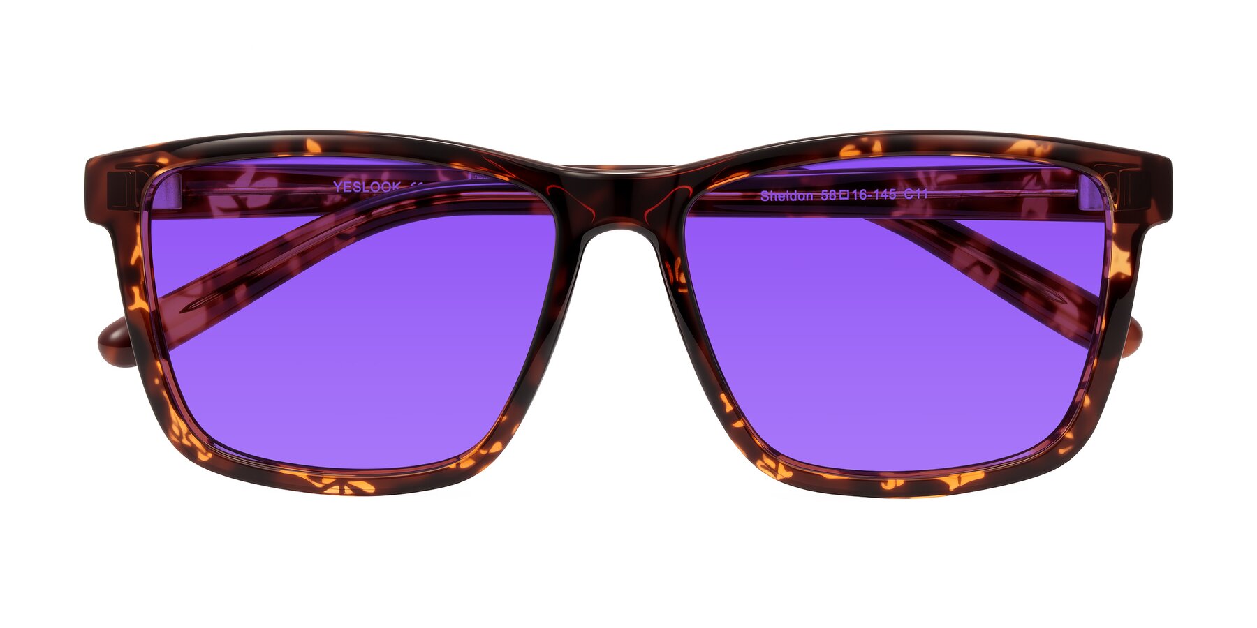 Folded Front of Sheldon in Tortoise with Purple Tinted Lenses