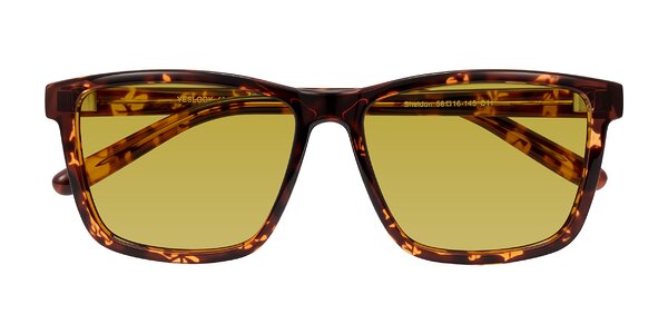 Front of Sheldon in Tortoise