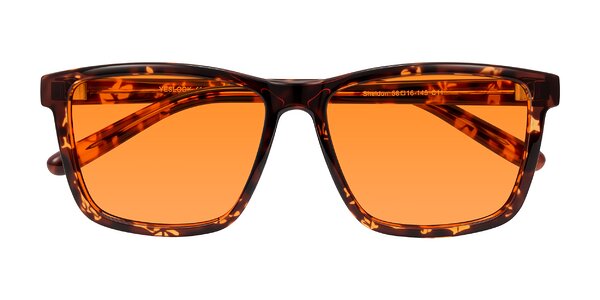 Front of Sheldon in Tortoise