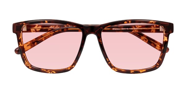 Front of Sheldon in Tortoise