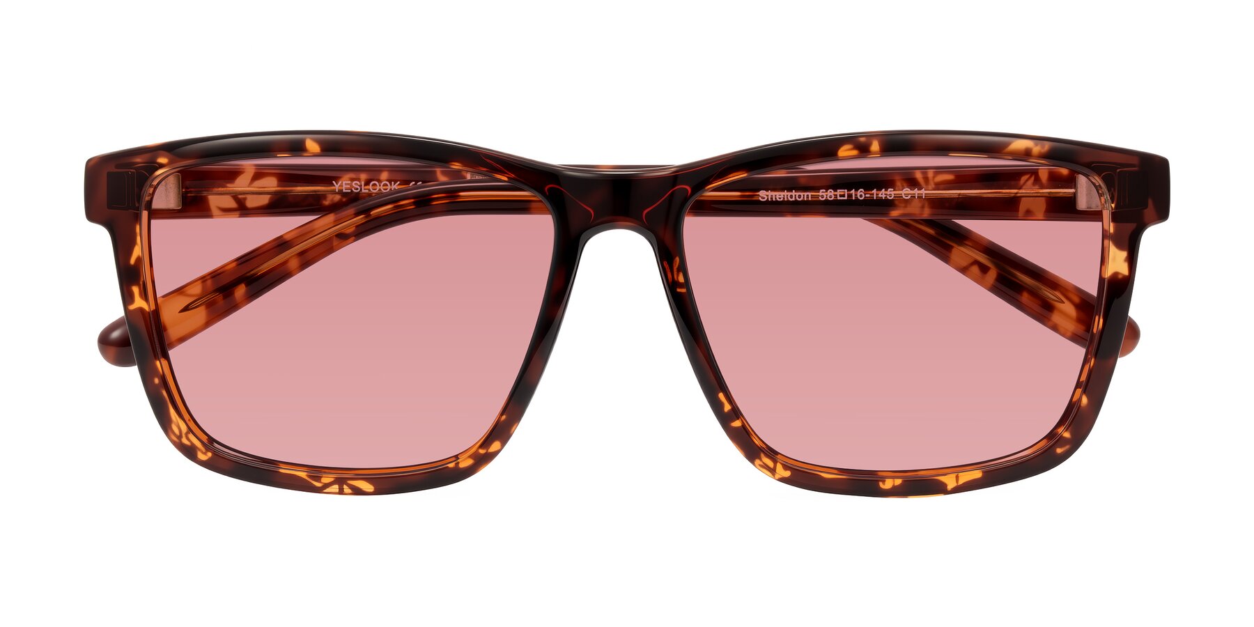 Folded Front of Sheldon in Tortoise with Medium Garnet Tinted Lenses