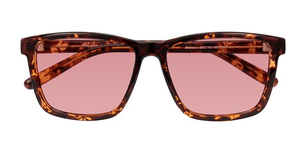 Front of Sheldon in Tortoise