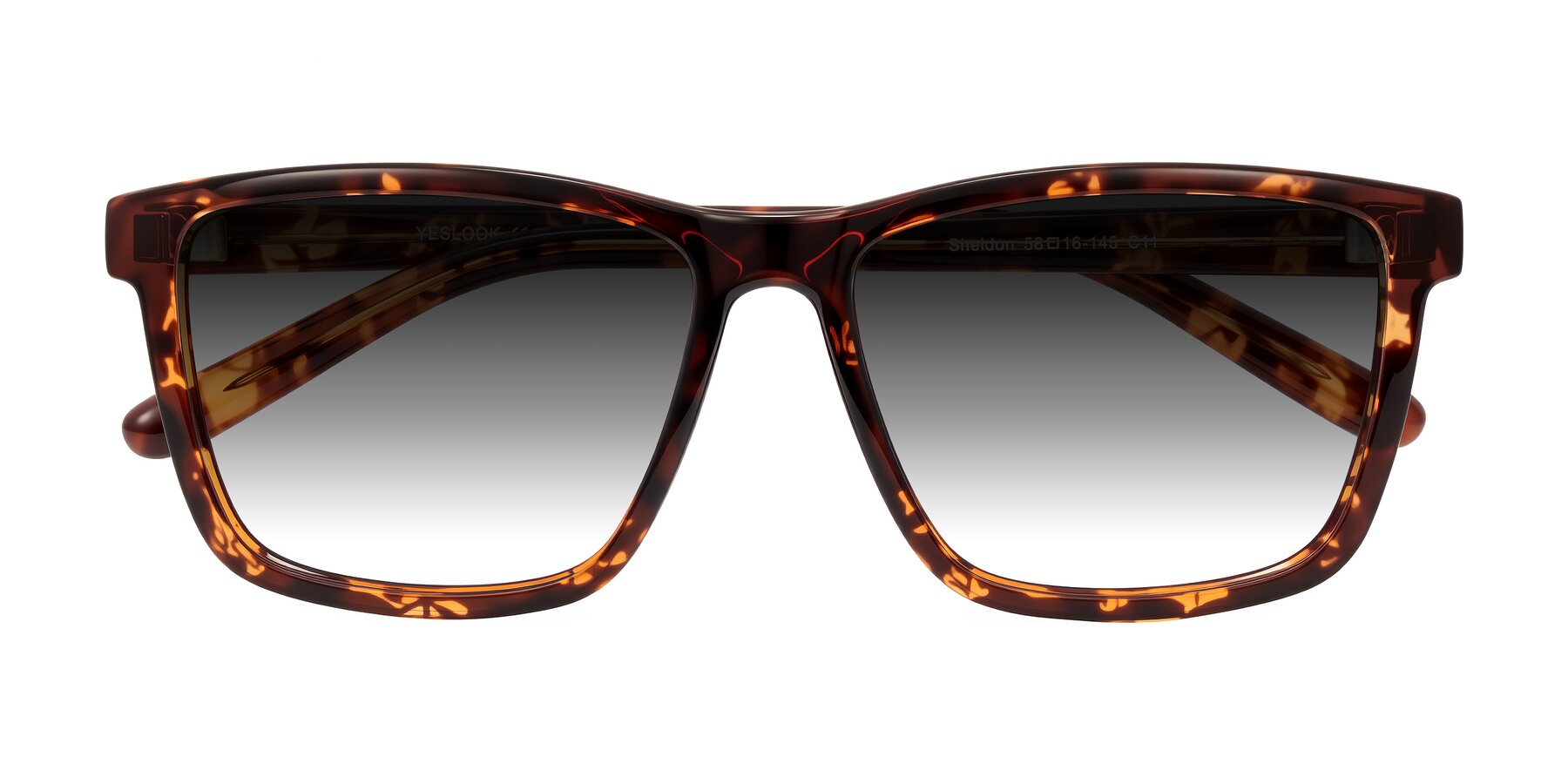 Folded Front of Sheldon in Tortoise with Gray Gradient Lenses