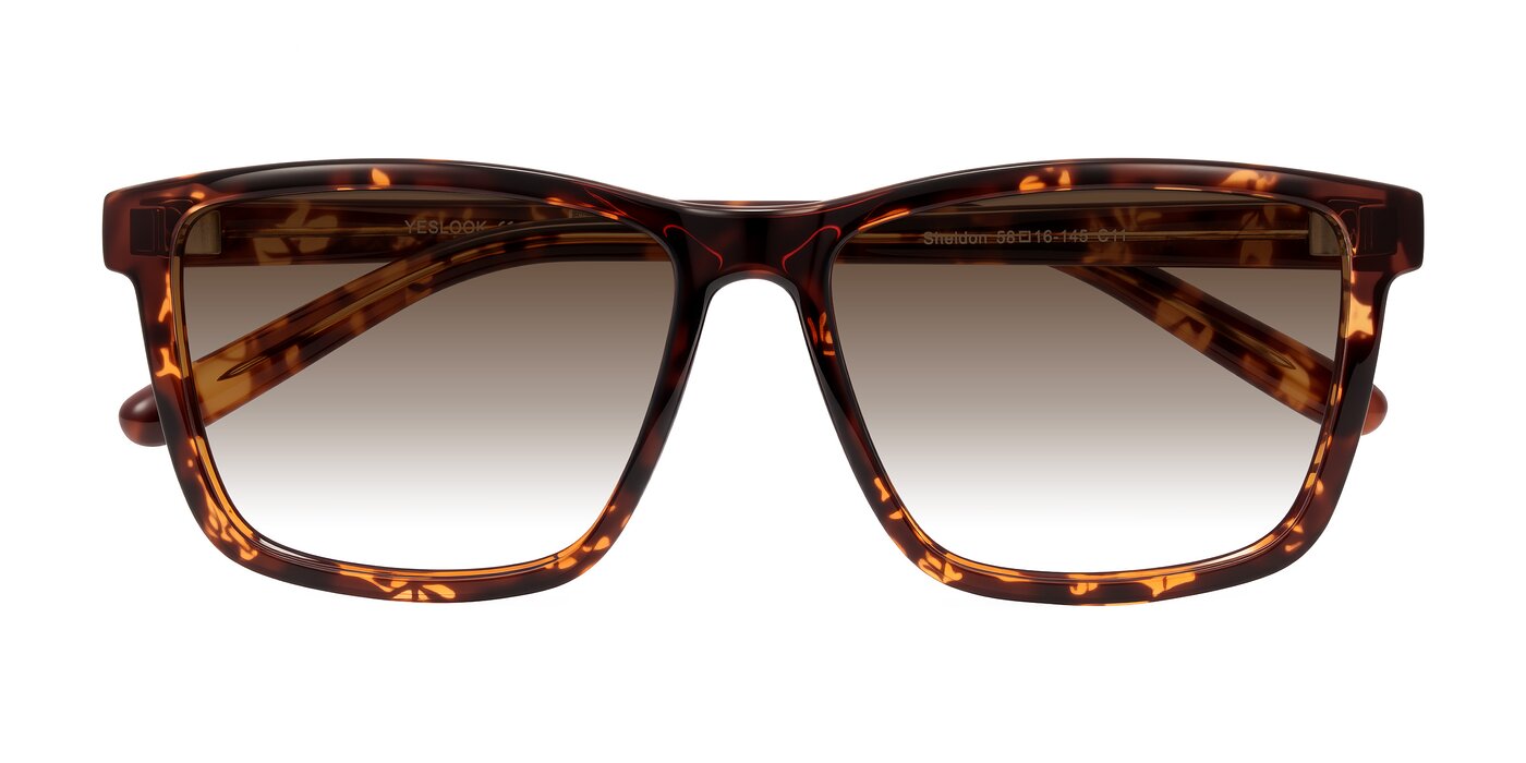 Sheldon - Tortoise Gradient Sunglasses
