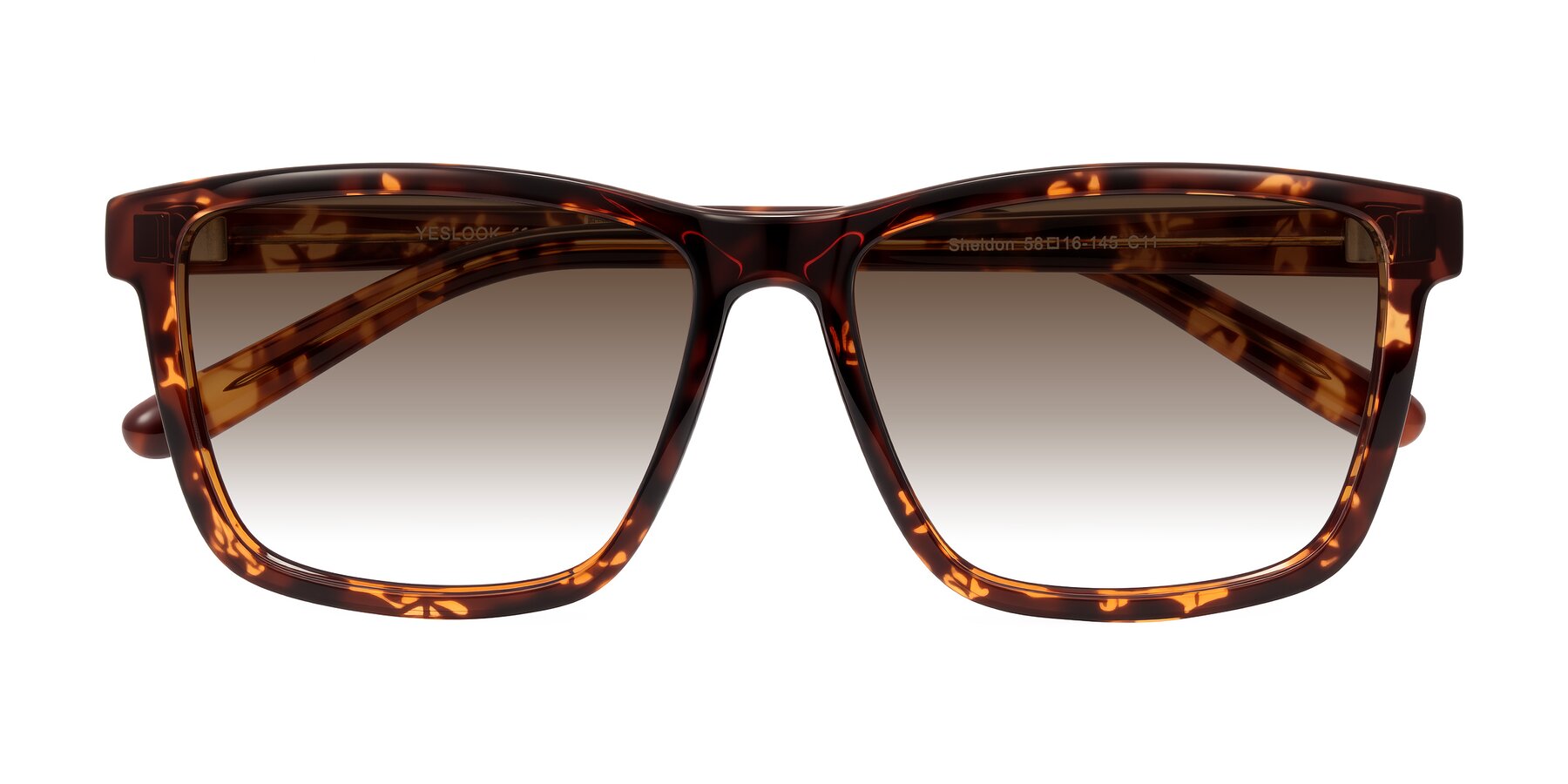 Folded Front of Sheldon in Tortoise with Brown Gradient Lenses