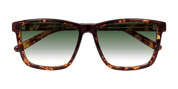 Front of Sheldon in Tortoise