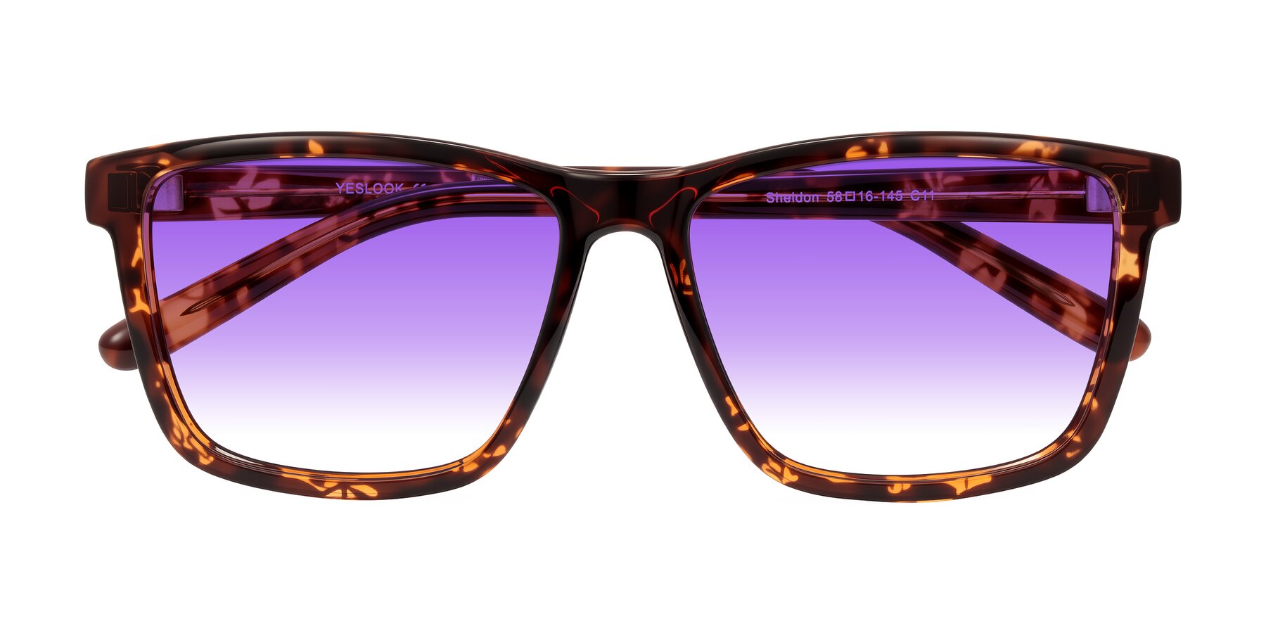 Folded Front of Sheldon in Tortoise with Purple Gradient Lenses