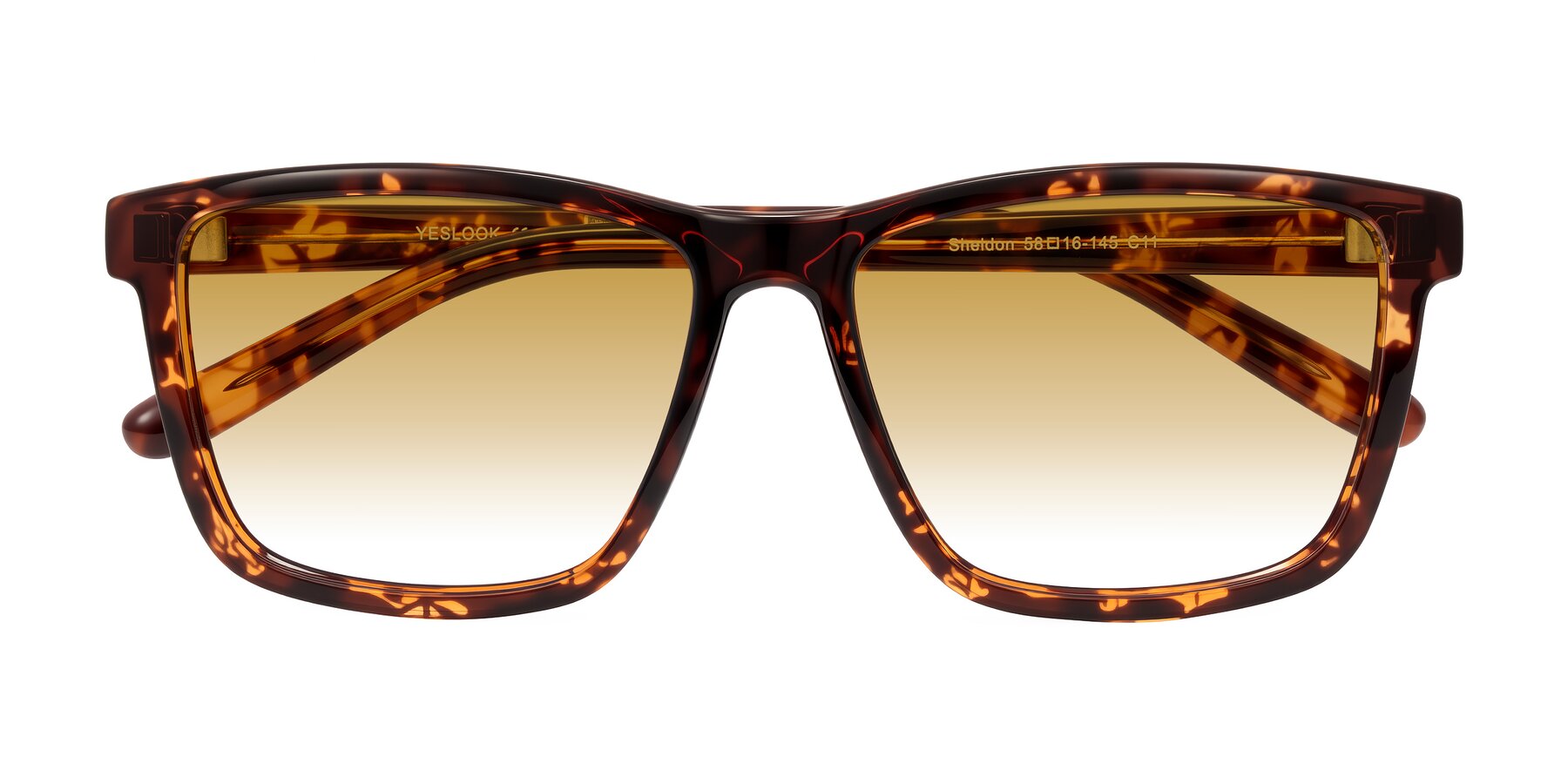 Folded Front of Sheldon in Tortoise with Champagne Gradient Lenses