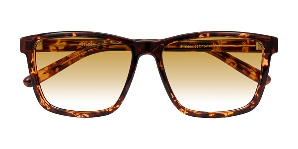 Front of Sheldon in Tortoise