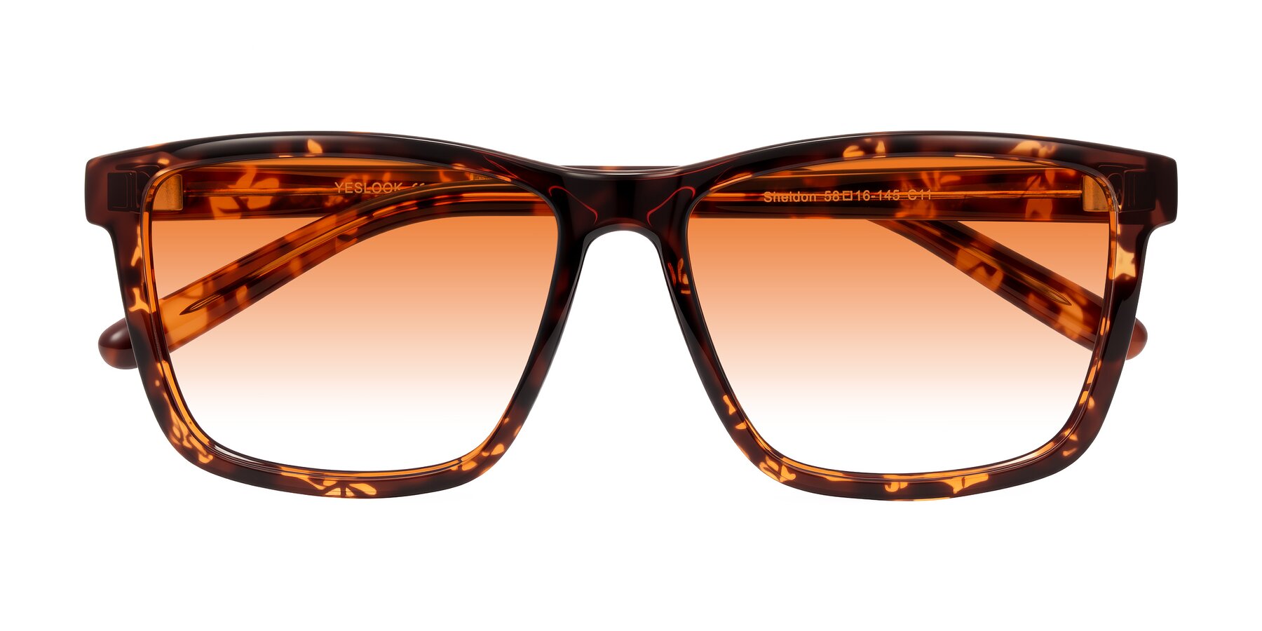 Folded Front of Sheldon in Tortoise with Orange Gradient Lenses