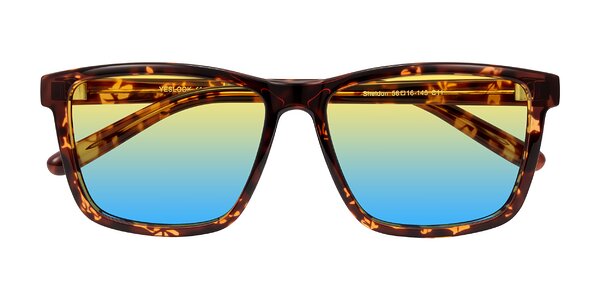 Front of Sheldon in Tortoise