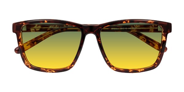 Front of Sheldon in Tortoise