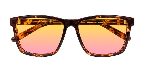 Front of Sheldon in Tortoise