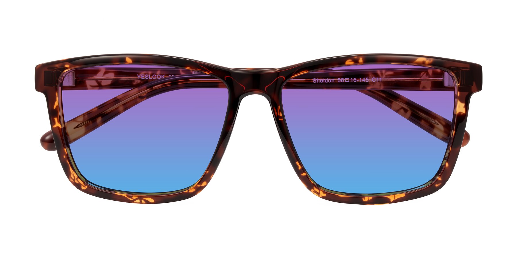 Folded Front of Sheldon in Tortoise with Purple / Blue Gradient Lenses