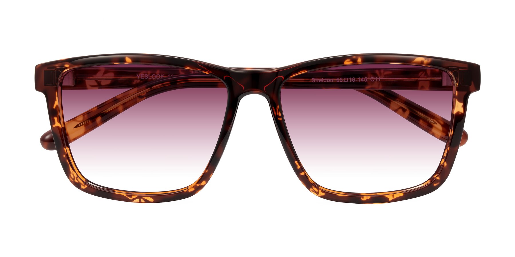 Folded Front of Sheldon in Tortoise with Wine Gradient Lenses