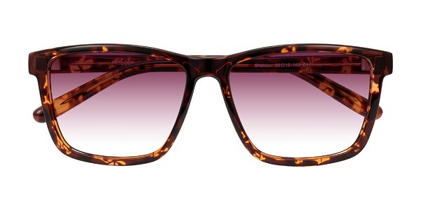 Front of Sheldon in Tortoise