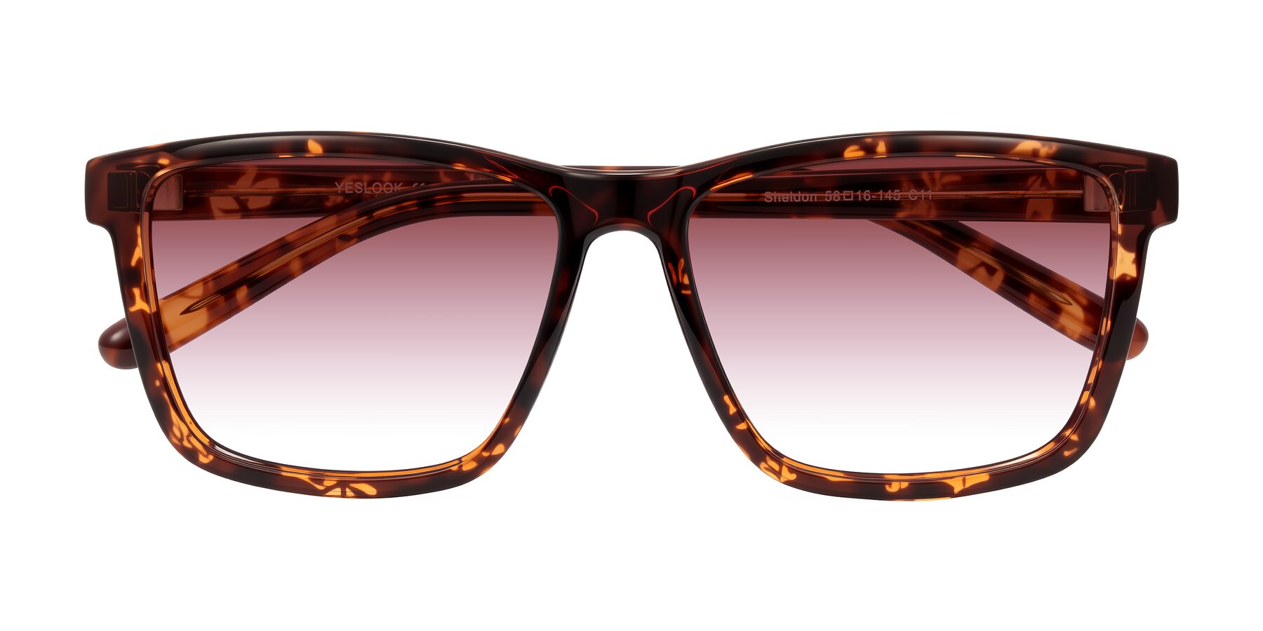Folded Front of Sheldon in Tortoise with Garnet Gradient Lenses