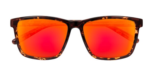 Front of Sheldon in Tortoise