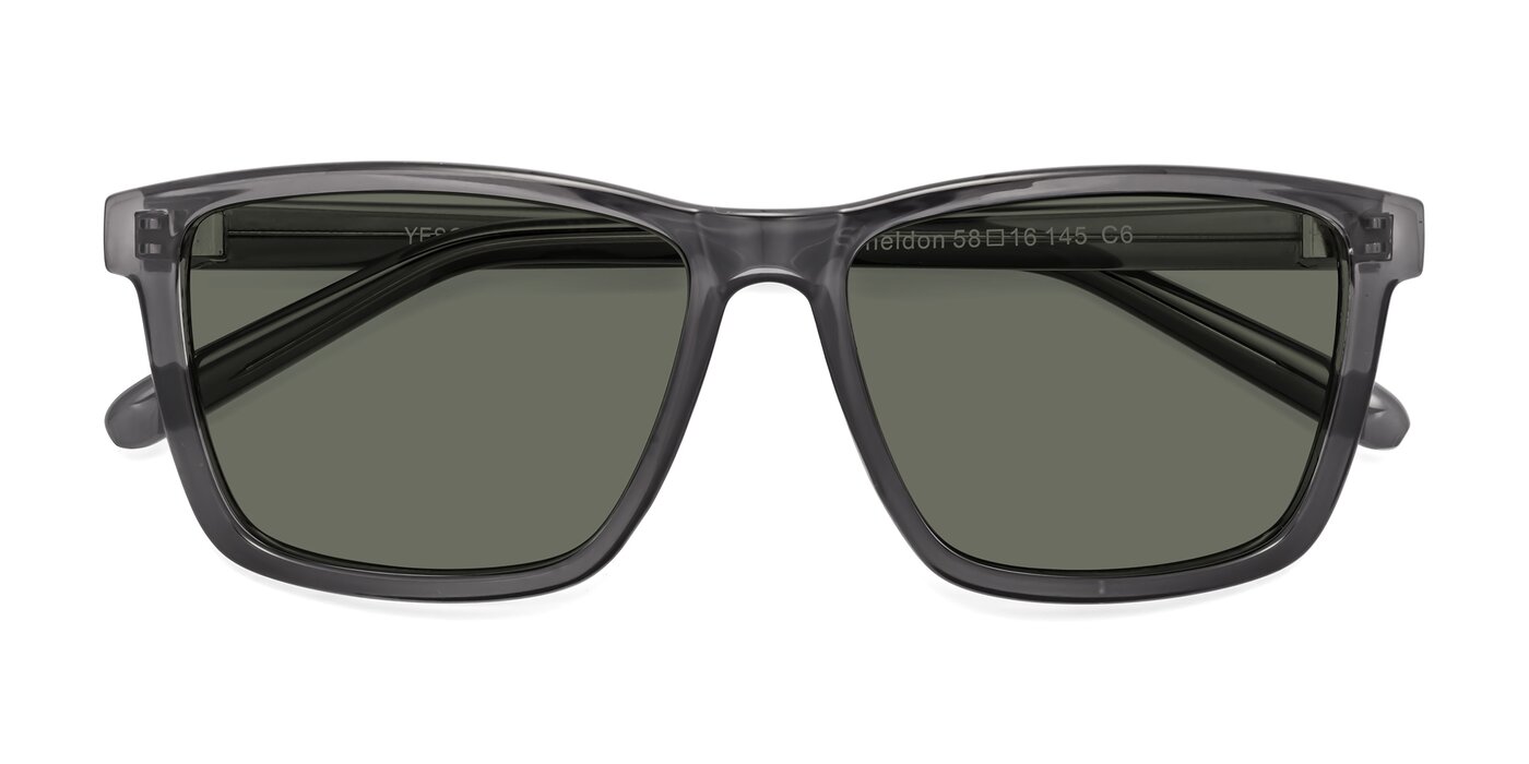 Sheldon - Transparent Gray Polarized Sunglasses