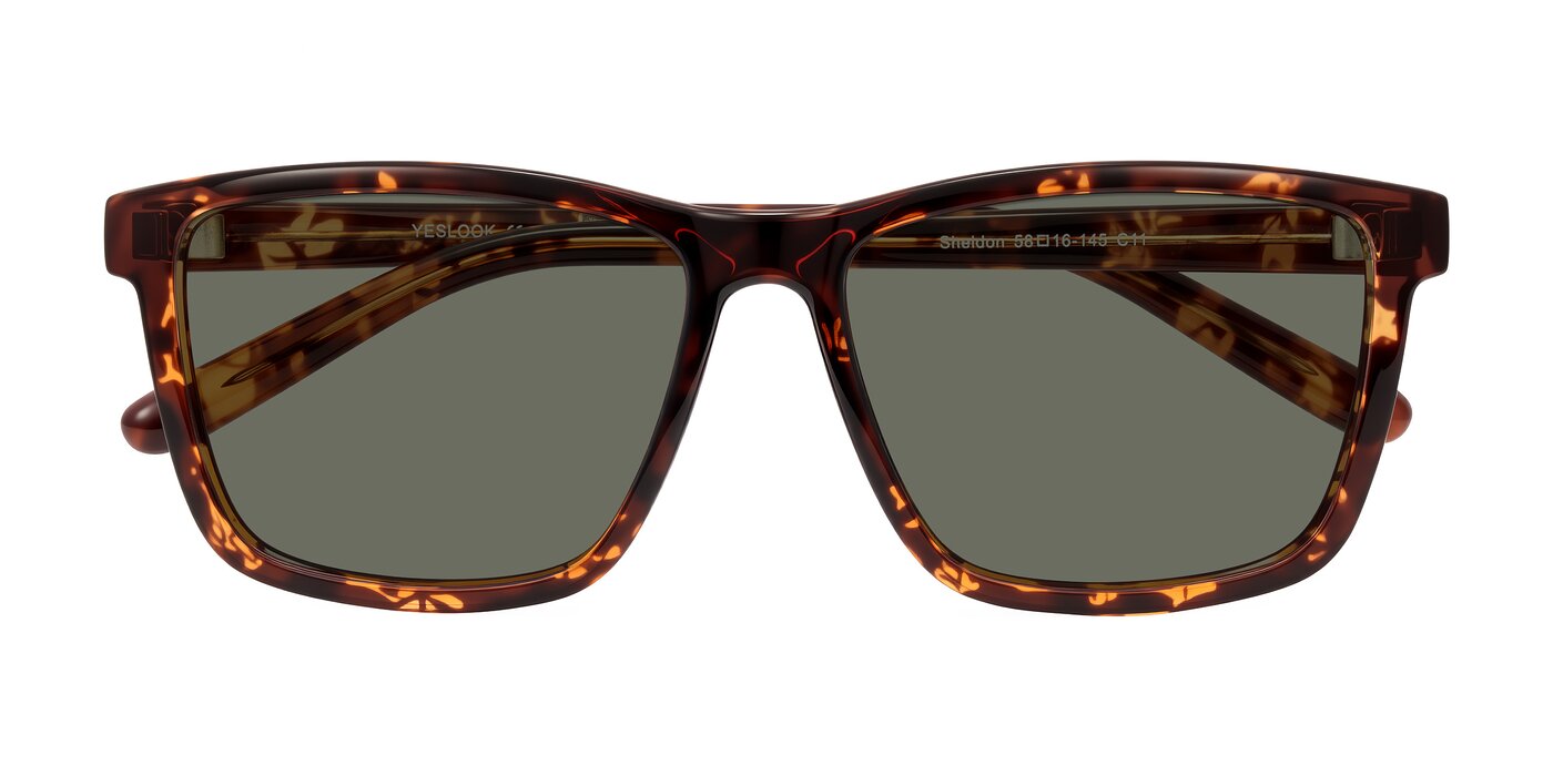 Sheldon - Tortoise Polarized Sunglasses