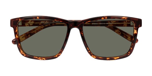 Front of Sheldon in Tortoise