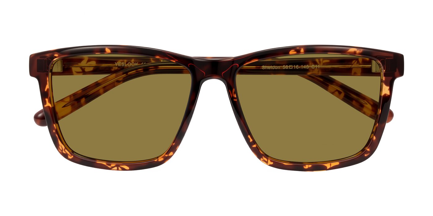 Sheldon - Tortoise Polarized Sunglasses