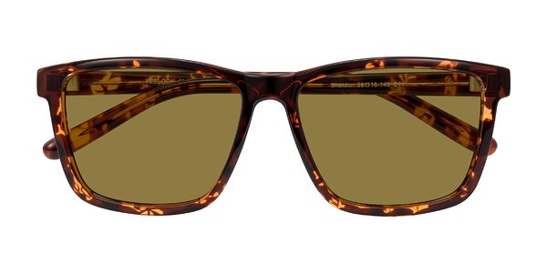 Front of Sheldon in Tortoise