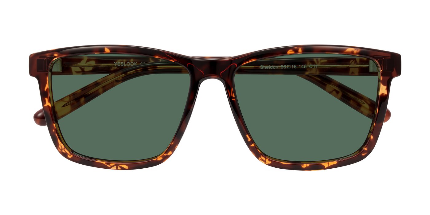 Sheldon - Tortoise Polarized Sunglasses