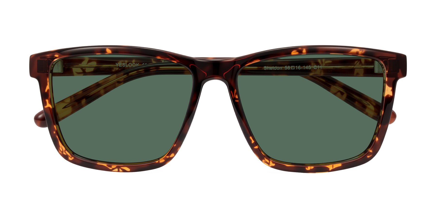 Folded Front of Sheldon in Tortoise with Green Polarized Lenses