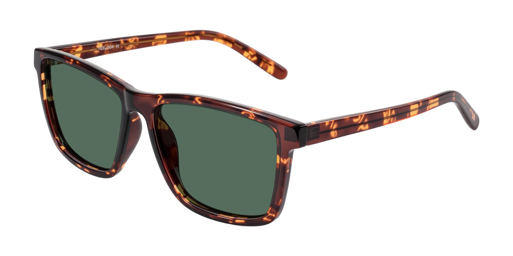 Angle of Sheldon in Tortoise with Green Polarized Lenses
