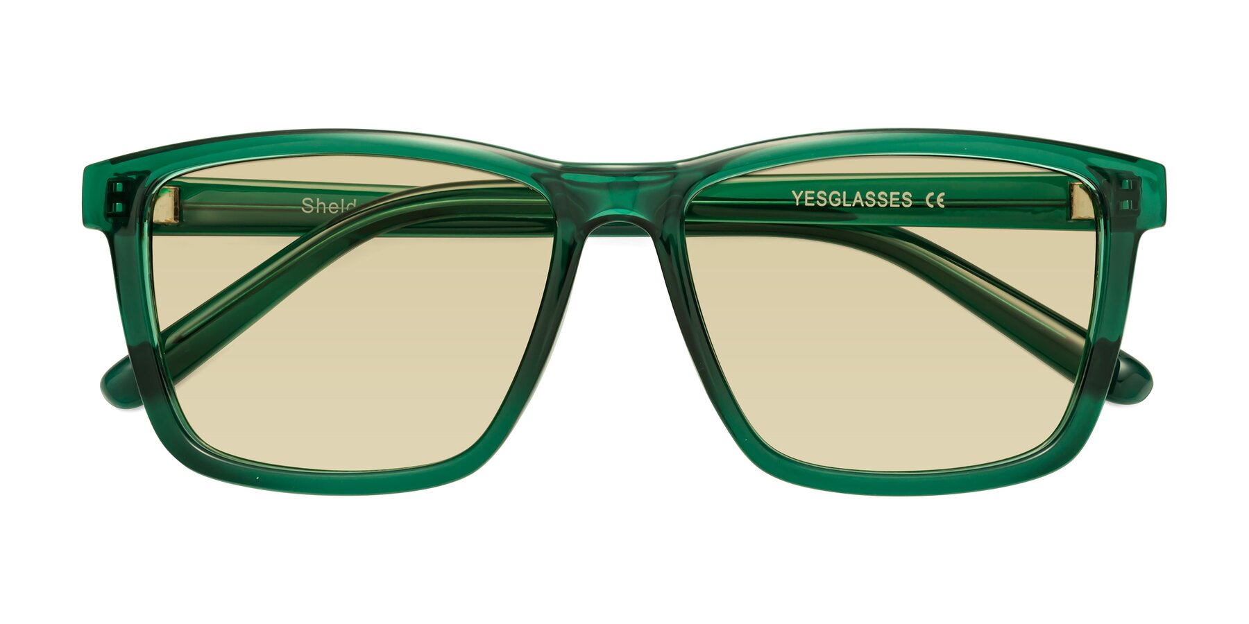 Folded Front of Sheldon in Green with Light Champagne Tinted Lenses
