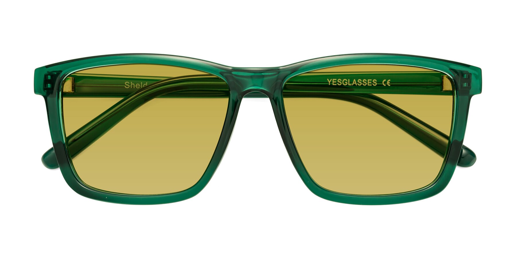 Folded Front of Sheldon in Green with Champagne Tinted Lenses