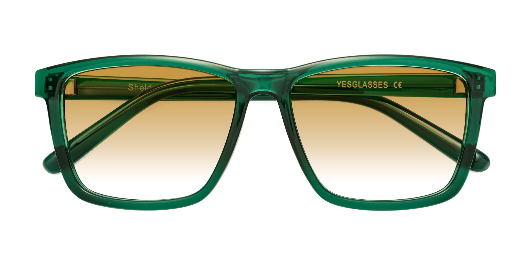 Folded Front of Sheldon in Green with Champagne Gradient Lenses